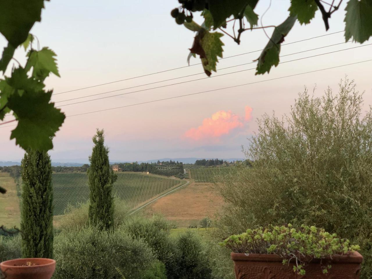 Agriturismo L'Olmo San Gimignano Luaran gambar