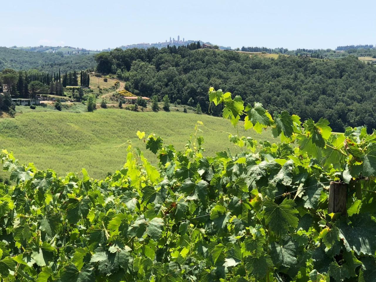 Agriturismo L'Olmo San Gimignano Luaran gambar