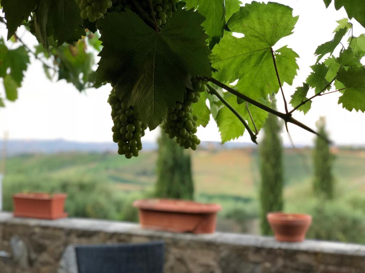 Agriturismo L'Olmo San Gimignano Luaran gambar