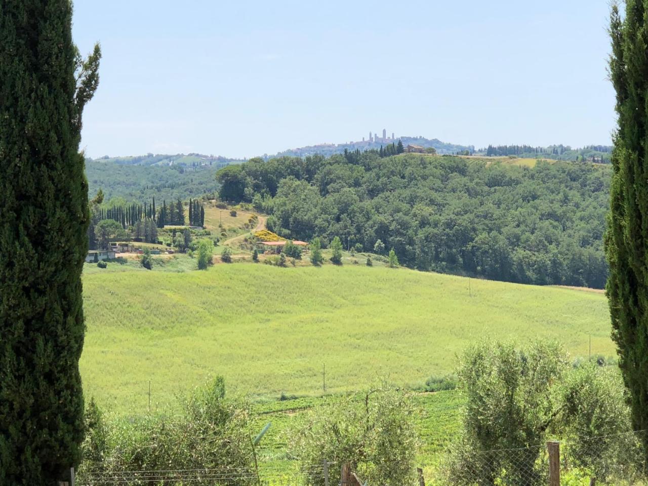 Agriturismo L'Olmo San Gimignano Luaran gambar