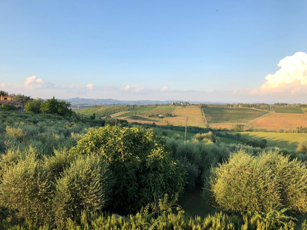 Agriturismo L'Olmo San Gimignano Luaran gambar